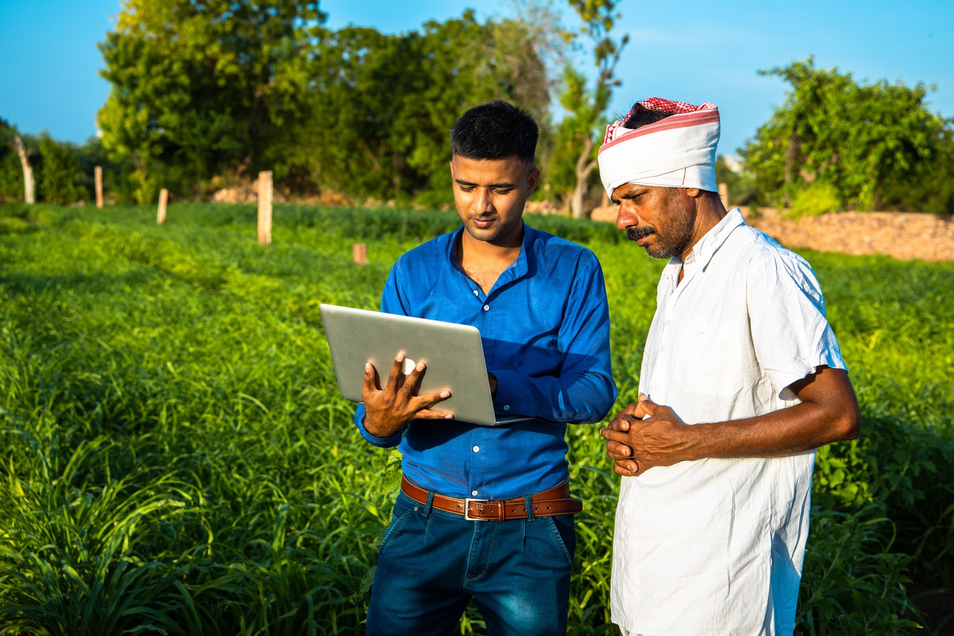 young agronomist researcher discussing with farmer at field, technology in agriculture
